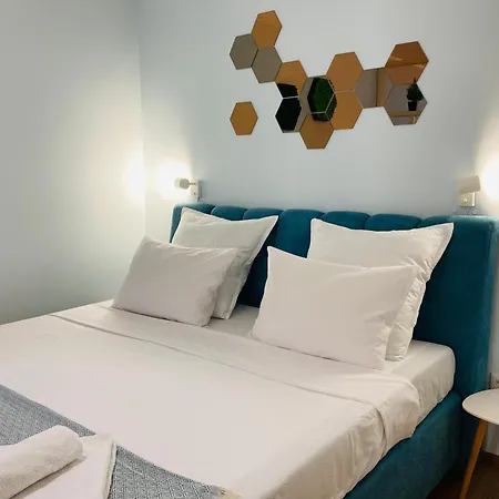 Royal Palm Moira's In * Sweti Wlas