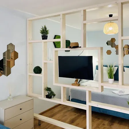 Royal Palm Moira's In * Sweti Wlas