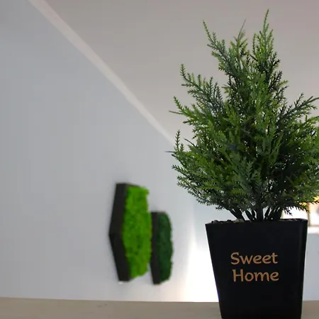 Appartement Royal Palm Moira's In *