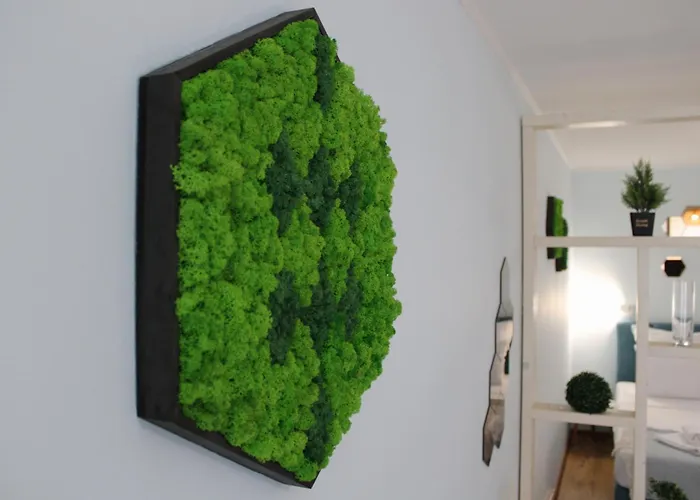 Royal Palm Moira's In *