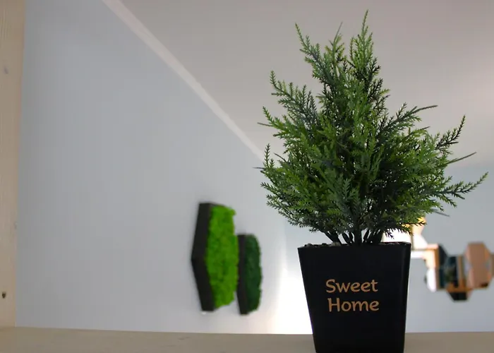 Apartamento Royal Palm Moira's In *